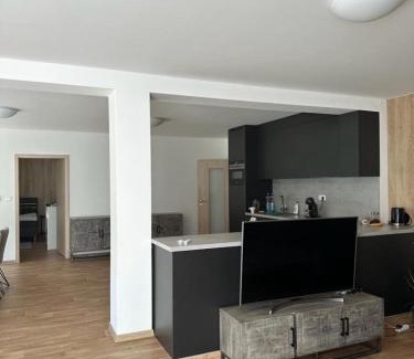 Ricky v Orlickych horach Apartamento | Apartmán Lesněnka