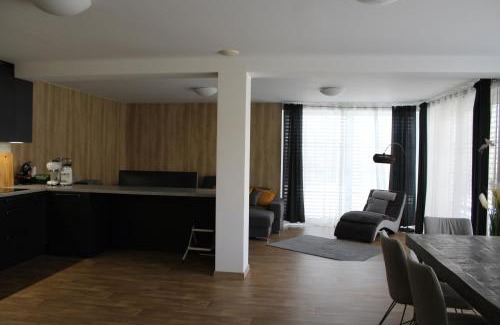 Ricky v Orlickych horach Apartamento | Apartmán Lesněnka