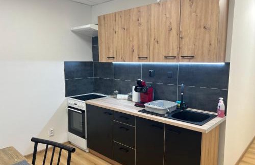Jasenov Apartamento | Apartmán Lotos Jasenov Humenné