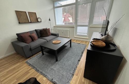 Luhacovice Apartamento | Apartmán Luhačovice III.