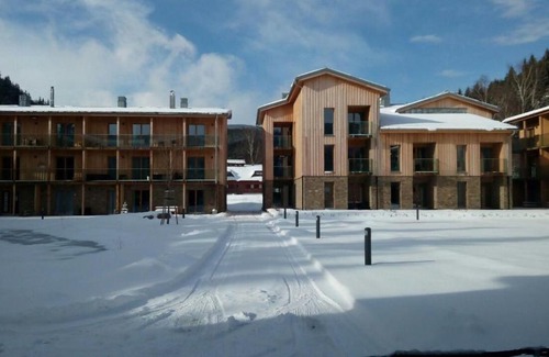 Spindleruv Mlyn Apartamento | Apartmán Medvědín 110