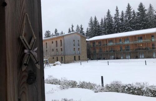 Spindleruv Mlyn Apartamento | Apartmán Medvědín 109