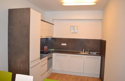Spindleruv Mlyn Apartamento | Apartmán Medvědín 109