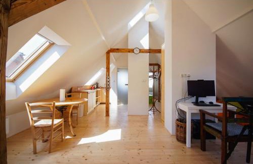 Karlovy Vary Casa | Apartmán Národní