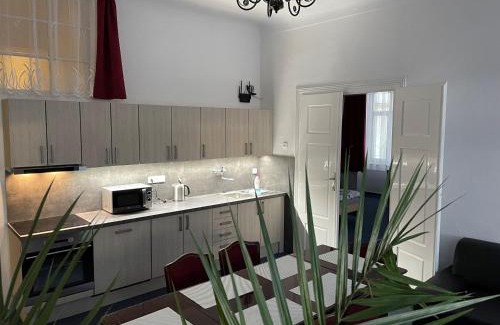 Netolice Apartamento | Apartmán Netolice 207 Deluxe