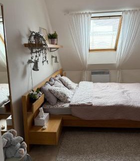 Nova Bystrice Apartamento | Apartmán Nová Bystřice