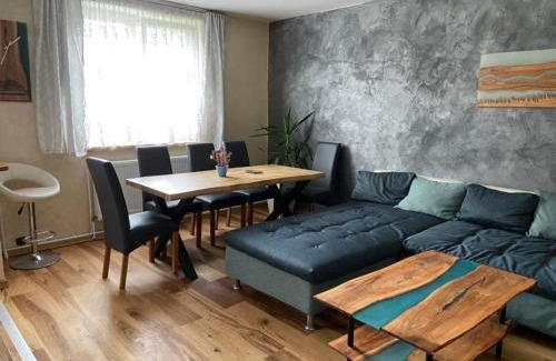 Orlicke Zahori Apartamento | Apartmán Orlické hory