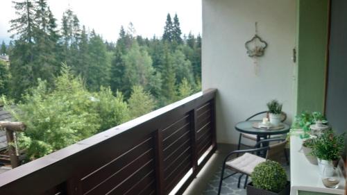 Tatranska Strba Apartamento | Apartmán Patris 40