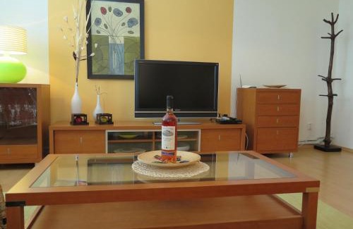 Novy Smokovec Apartamento | Apartmán Penzák