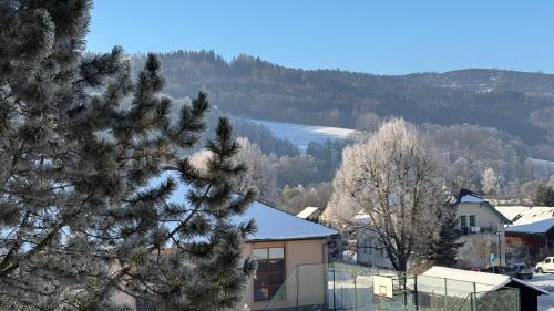 Loucna nad Desnou Apartamento | apartmán pod turbínou