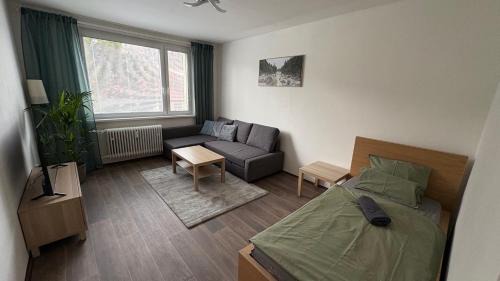 Loucna nad Desnou Apartamento | apartmán pod turbínou