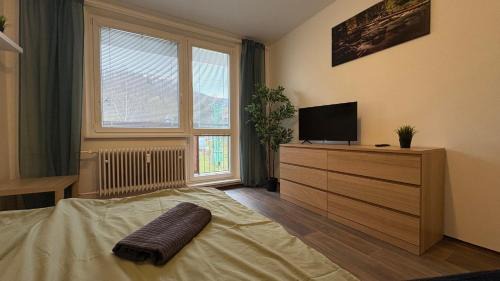 Loucna nad Desnou Apartamento | apartmán pod turbínou