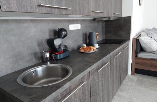 Zelezna Ruda Apartamento | Apartmán Rezidence Javor Železná Ruda