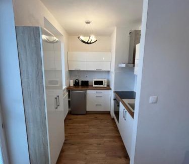 Piestany Apartamento | Apartmán Rose