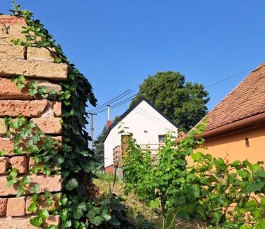 Jevisovka Casa | Apartmán se saunou a vinný sklep Živjeli