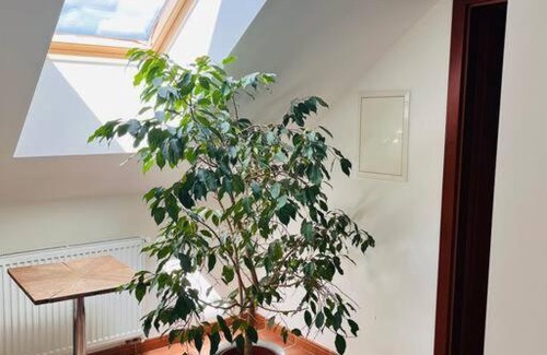 Orech Apartamento | Apartmán se zahradou 20 minut do centra Prahy