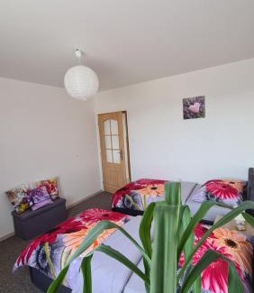 Cerna V Posumavi Apartamento | Apartmán U AKVARISTY
