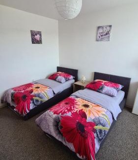 Cerna V Posumavi Apartamento | Apartmán U AKVARISTY