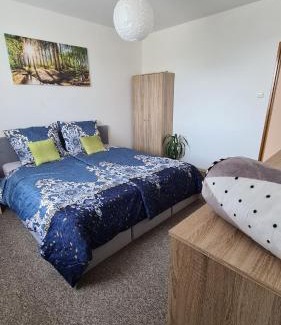 Cerna V Posumavi Apartamento | Apartmán U AKVARISTY