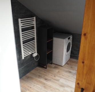 Bila Tremesna Apartamento | Apartmán U Borovice