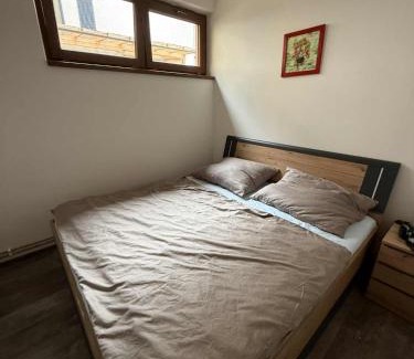 Trutnov Apartamento | Apartmán u Krakonoše