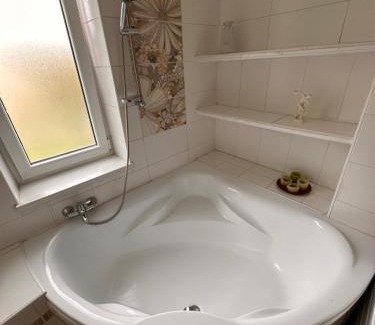 Horni Blatna Apartamento | Apartmán U náměstí Horní Blatná