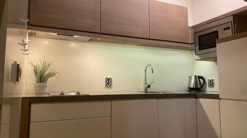 Dolni Lomna Apartamento | Apartmán v Beskydech