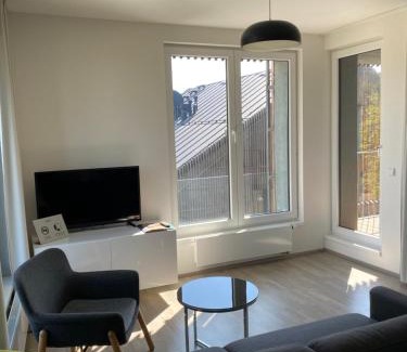 Stare Splavy Apartamento | Apartmán v LakeParku