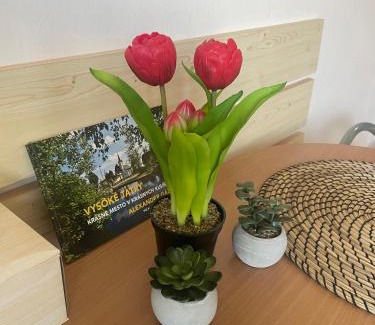 Novy Smokovec Apartamento | Apartmán v srdci Tatier