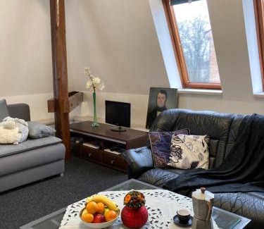 Trutnov Apartamento | Apartmán Veleslavínova