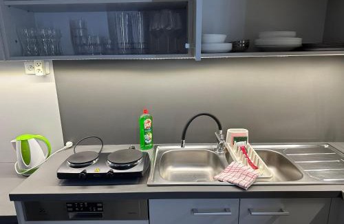 Veseli nad Moravou Apartamento | Apartmán Wellness Veselí