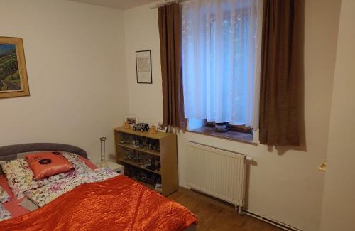 Ostrava Apartamento | Apartmán Zukalka