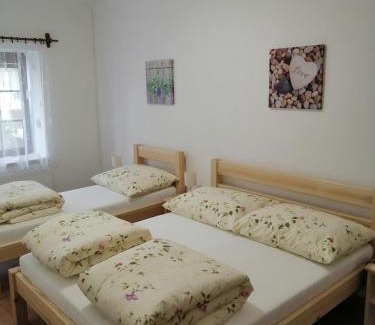 Novy Prerov Apartamento | Apartmány 62