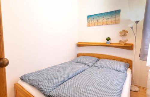 Vitkovice Apartamento | Apartmány D u sjezdovky - Horní Mísečky