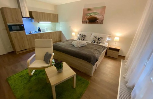 Trebon Apartamento | Apartmány Duo Třeboň