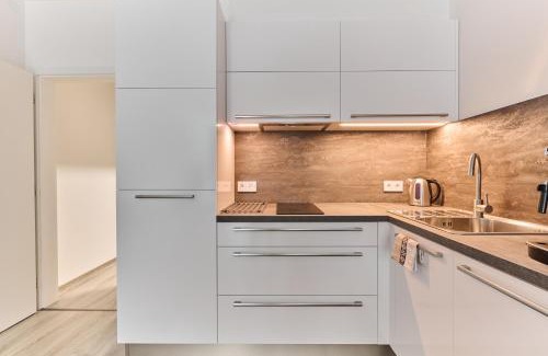 Olomouc Apartamento | Apartmány Elite - Frištenského