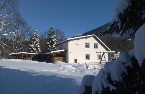 Starkov Apartamento | Apartmány Hájenka