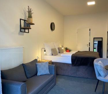 Brno Cama Y Desayuno | Apartmány Hrázní