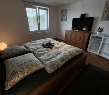 Dolni Ujezd Apartamento | Apartmány MonTexas