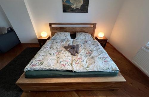 Dolni Ujezd Apartamento | Apartmány MonTexas