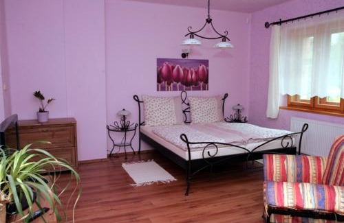 Potstejn Apartamento | Apartmány PEMI Potštejn