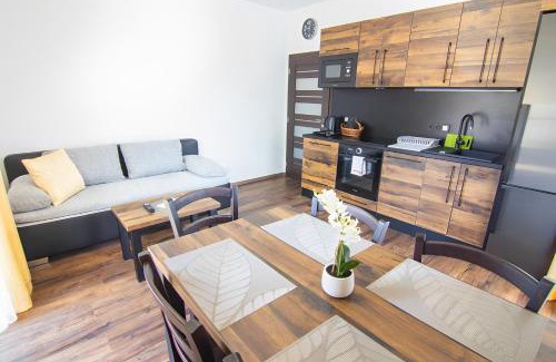 Cervena Voda Apartamento | Apartmány pod Bukovkou
