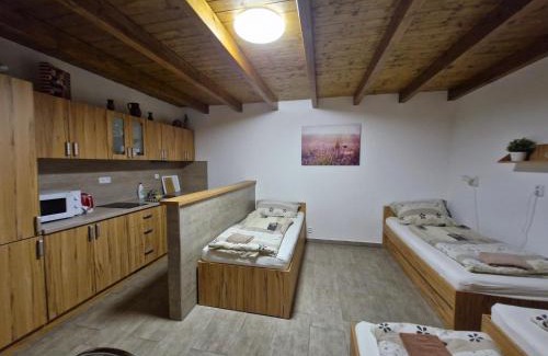 Boretice Apartamento | Apartmány pod pergolou