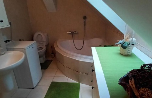 Pisek Apartamento | Apartmány Pod Putimskou branou
