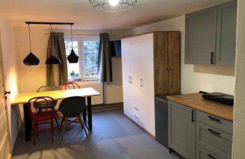 Horni Blatna Apartamento | Apartmány U Medvěda