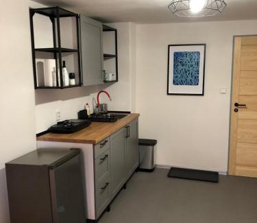 Horni Blatna Apartamento | Apartmány U Medvěda