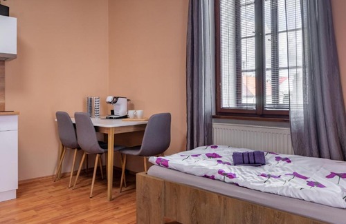 Plzen Apartamento | Apartmány V Mlýnské strouze