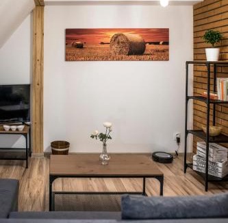 Heralec Apartamento | Apartmány ve Dvoře