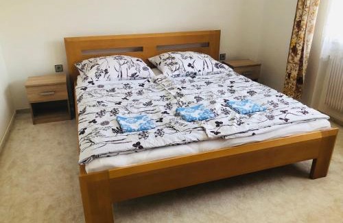 Hamry nad Sazavou Apartamento | Apartmány Zelená Hora s velkou zahradou