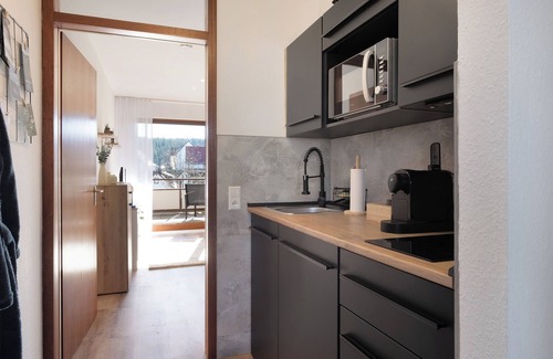 Schoenwald Apartamento | Apartamento 'Fw Moonlight Mit Sauna, Schwimmbad' con vistas a la montaña, balcón y Wi-Fi